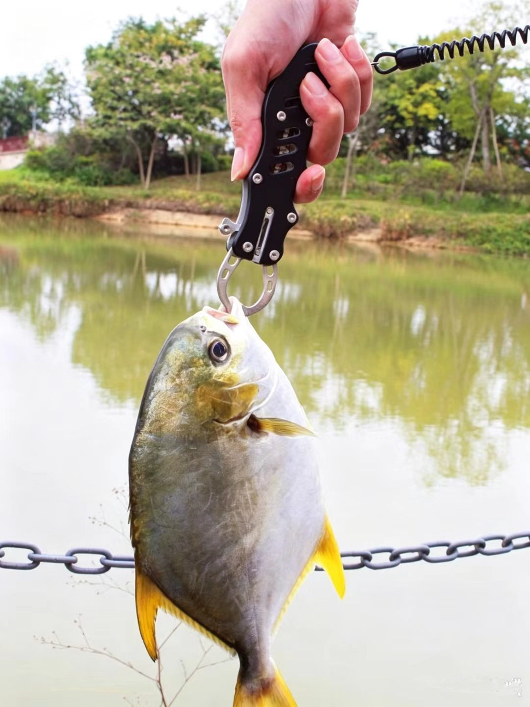Tijeras multifuncionales de ac - Baitcasting Reel reseña y precio